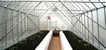 Clair Schwan's Greenhouse #2, inside